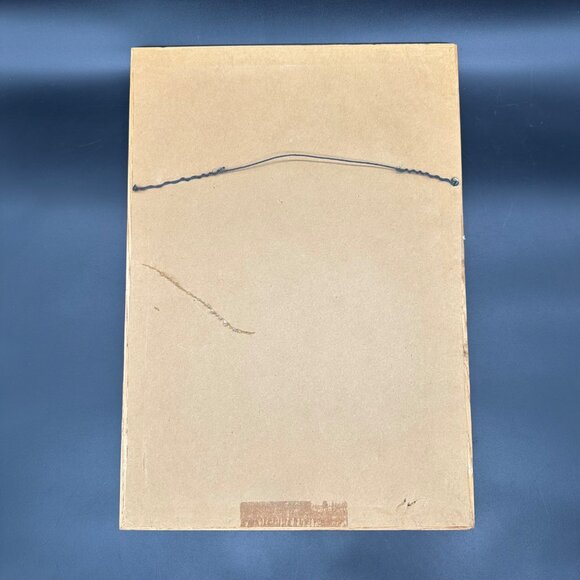 Vintage Johnny Tiger Jr Signed Sky Fox Print Framed 1974 Winter Scene 1476/3000 - Picture 3 of 10